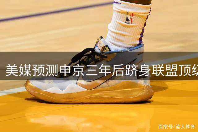 美媒预测申京三年后跻身联盟顶级中锋之列